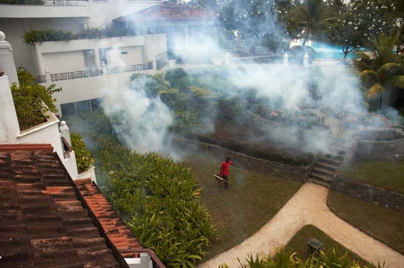 Fumigation Services